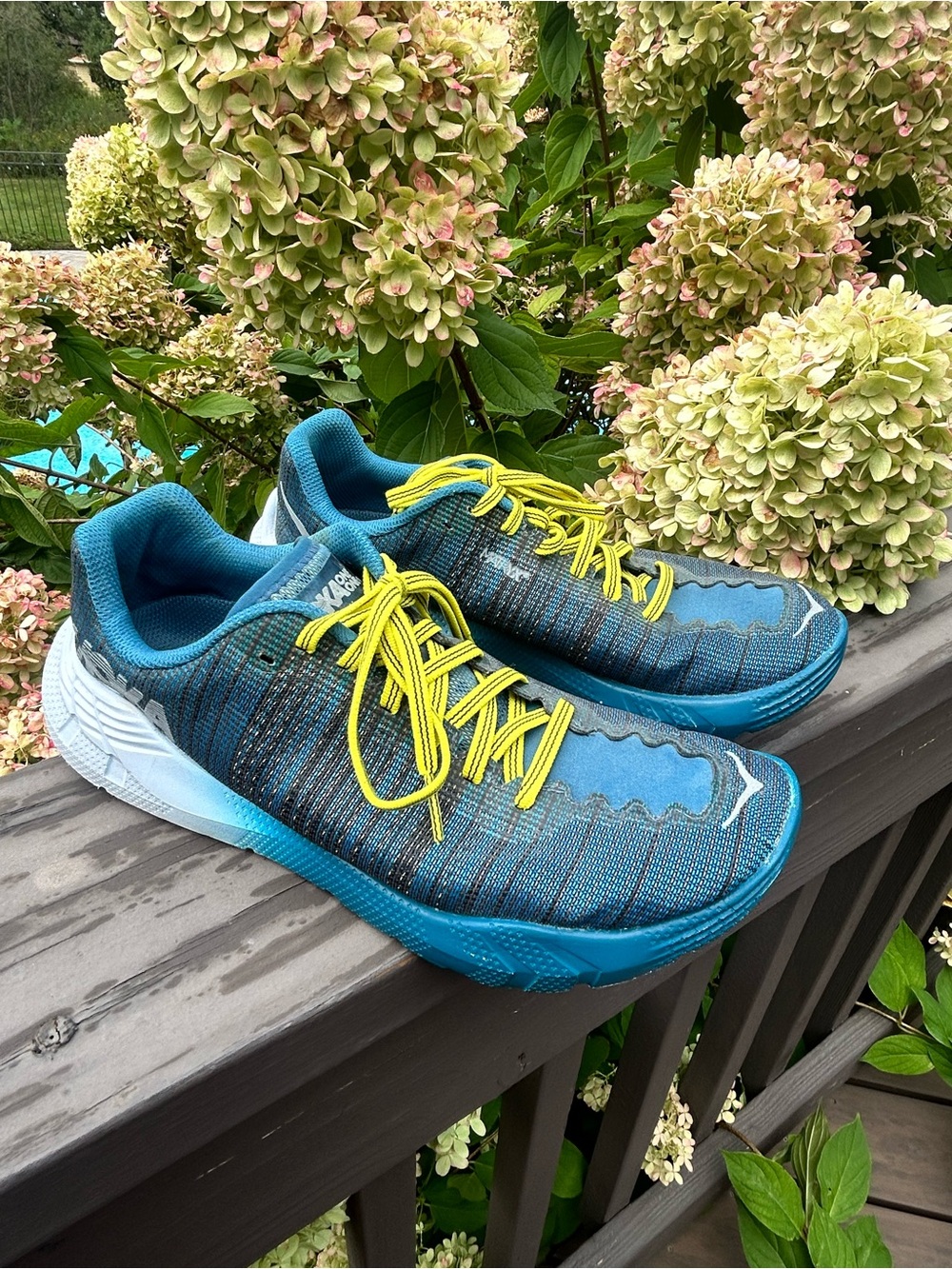 Hoka Rehi